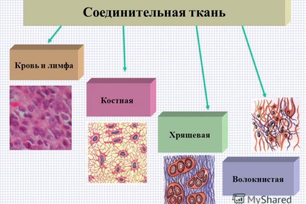 Как зайти на блэк спрут с айфона