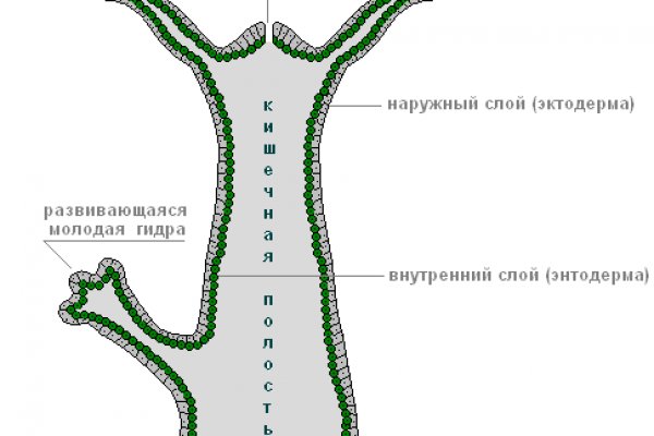 Рабочее зеркало blacksprut bs2webes net