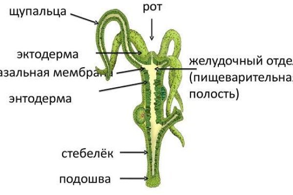 Рабочая ссылка на блэкспрут blacksprut adress com