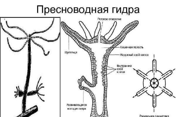 Аккаунты blacksprut раздача