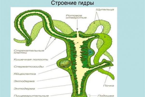 Черный рынок зайти